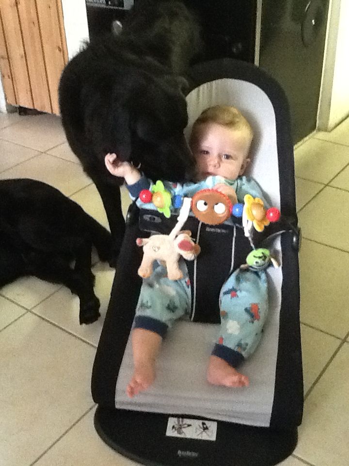 Hundagare-med-barn-1 barn och hundar