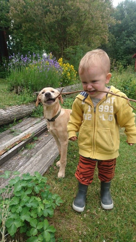 Hundagare-med-barn-2 barn och hundar