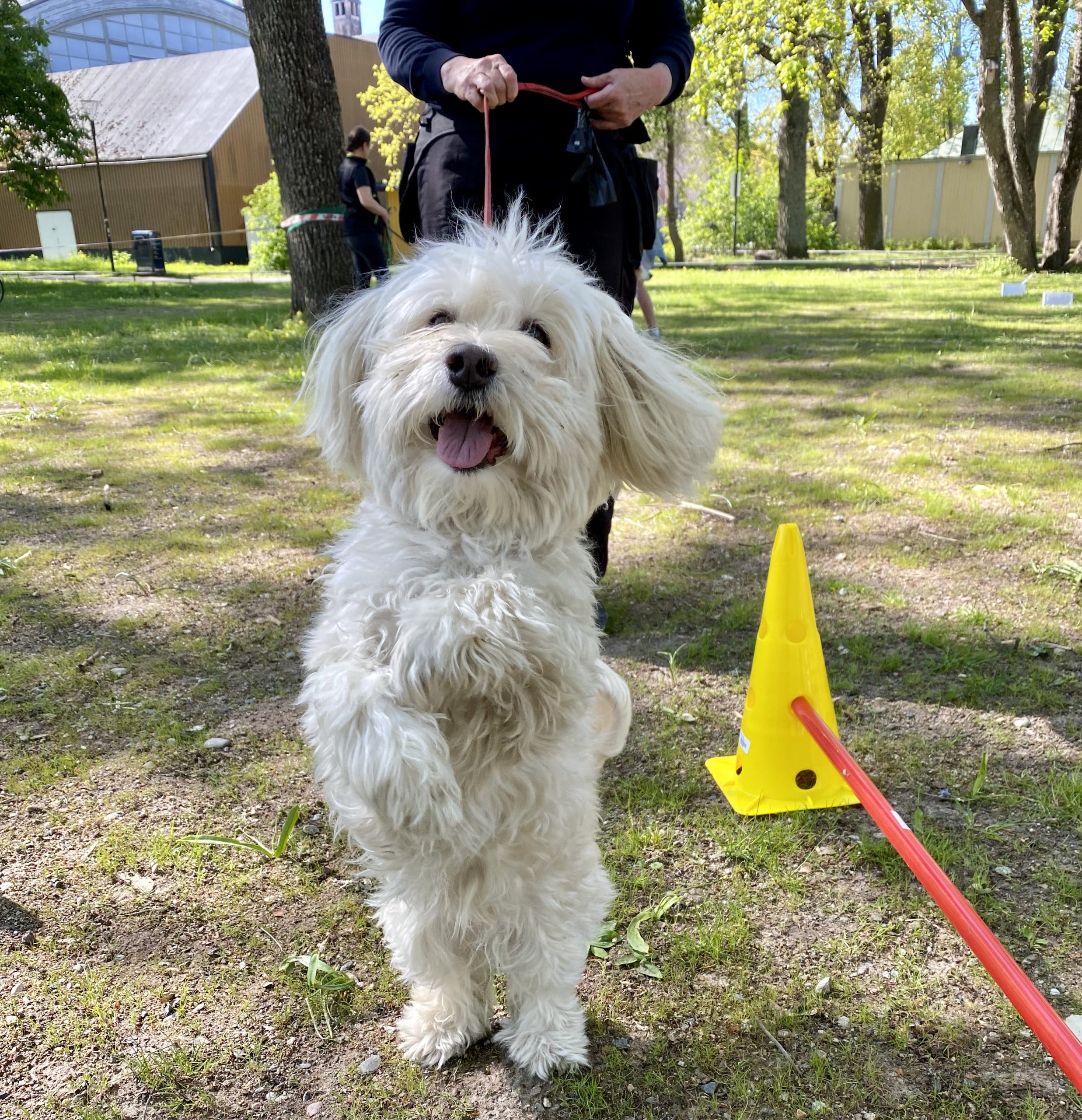 hundhjalpen-uppsala-april-1 roliga aktiviteter med din hund
