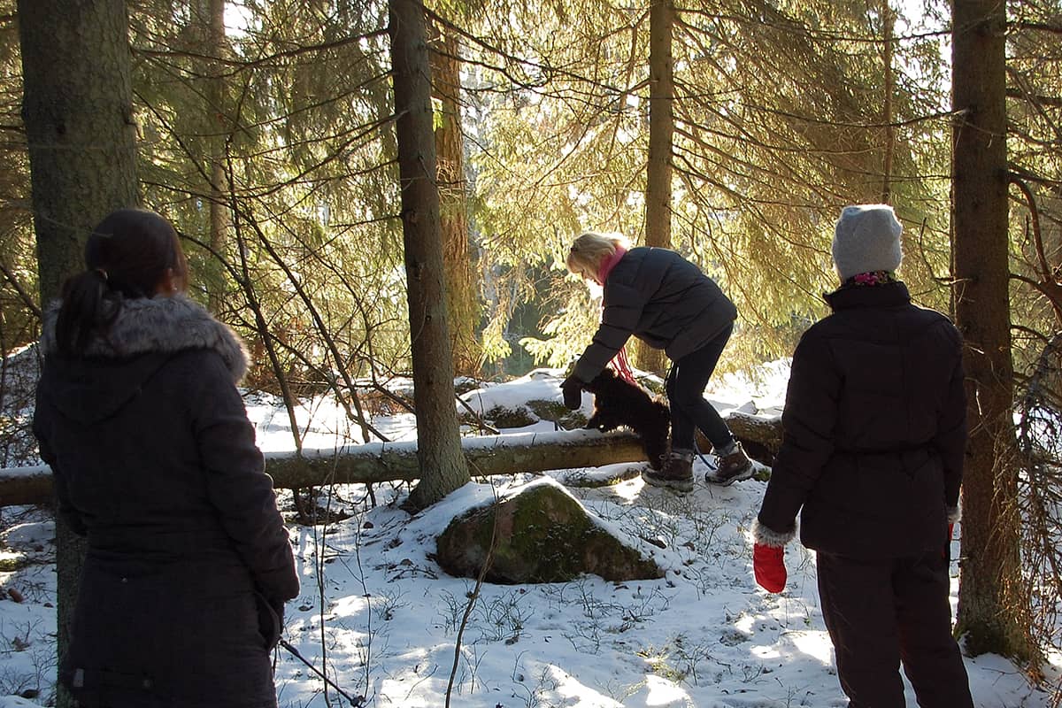utevistelse-hundens-skull-1 Utevistelse för min och hundens skull